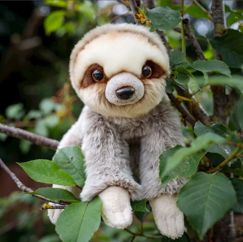 Animigos - Sloth - World of Nature