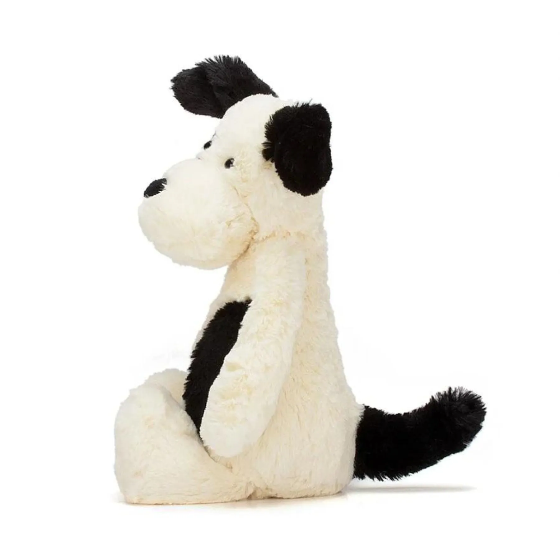 Bashful Black   Cream Puppy