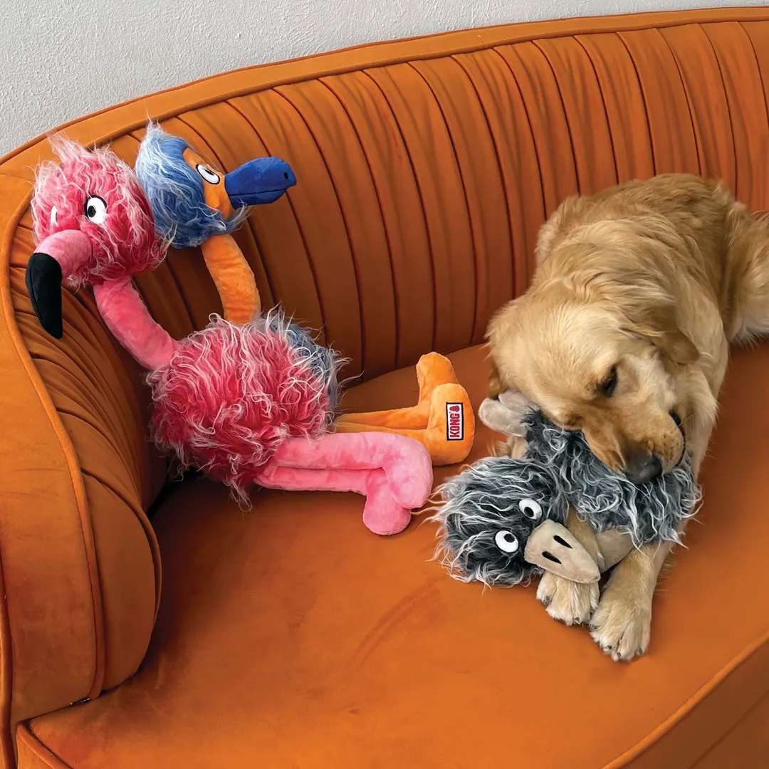 Kong Comfort Jumbo Bird