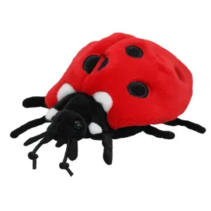 Ladybird Soft Toy