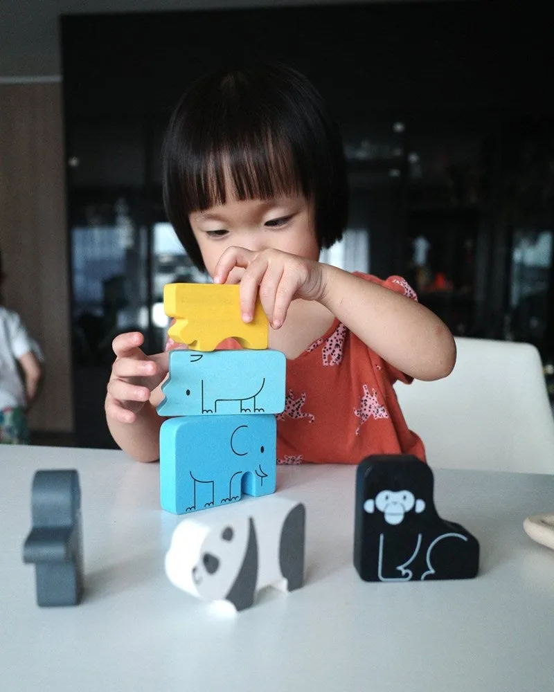 PlanToys Animal Puzzle Game