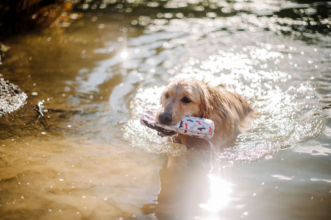 Toss and Float toy