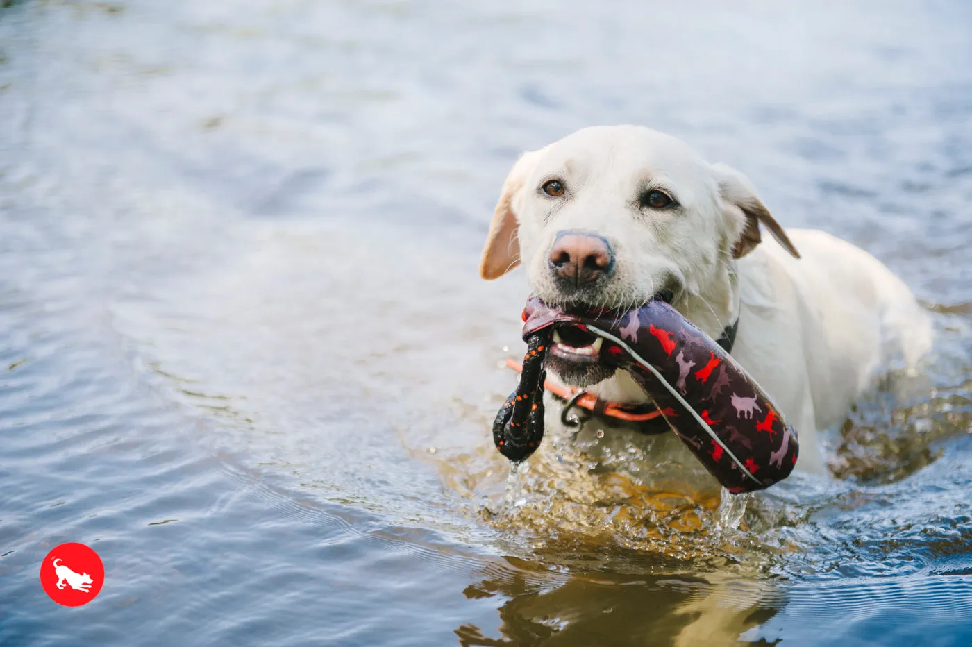 Toss and Float toy